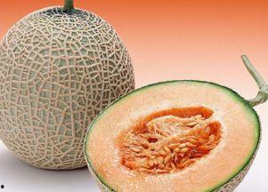 吉祥鸟吃哈密瓜好吗视频,美味与吉祥的完美邂逅