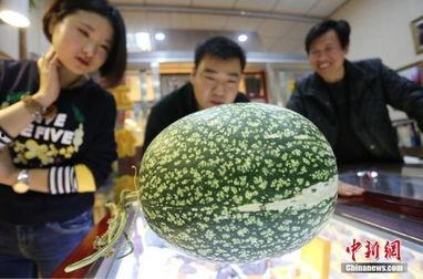 黑瓜吃料网张津瑜视频,一场视觉盛宴背后的故事 黑瓜吃料网张津瑜视频,一场视觉盛宴背后的故事