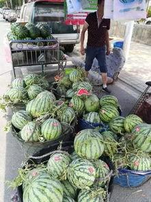 椒江吃瓜最新事件爆料视频,最新爆料视频揭露惊人内幕