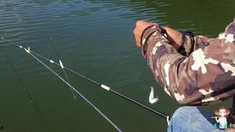 带你吃瓜钓鱼视频大全最新,趣味无限！