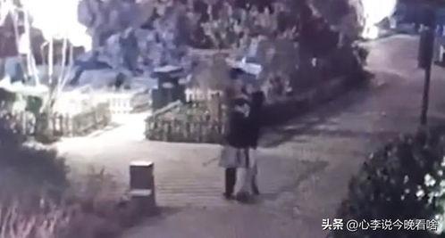 胜芳吃瓜事件视频播放全集,视频全集揭秘惊人真相